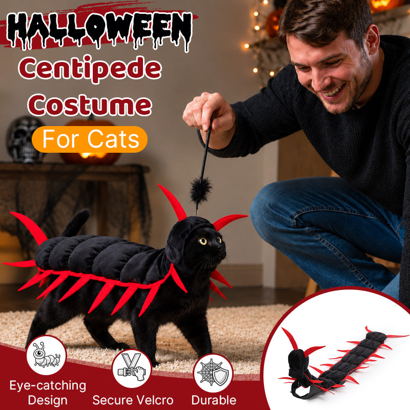 Cat Halloween Centipede Costume