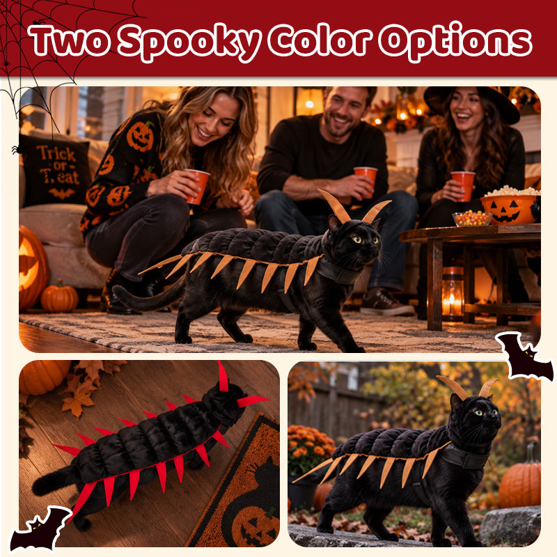 Cat Halloween Centipede Costume